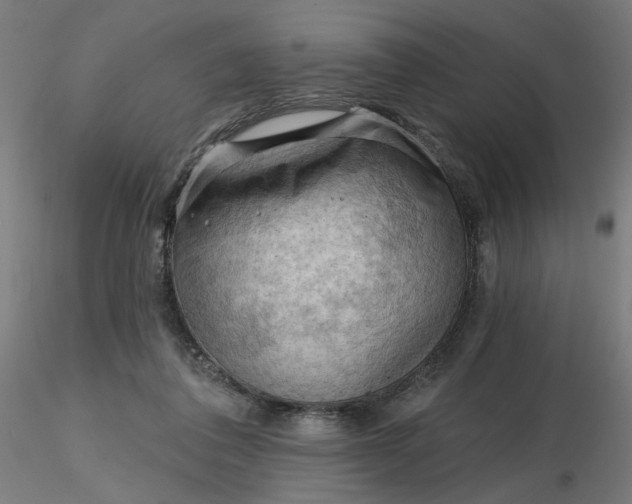 X0000116510308200912231239