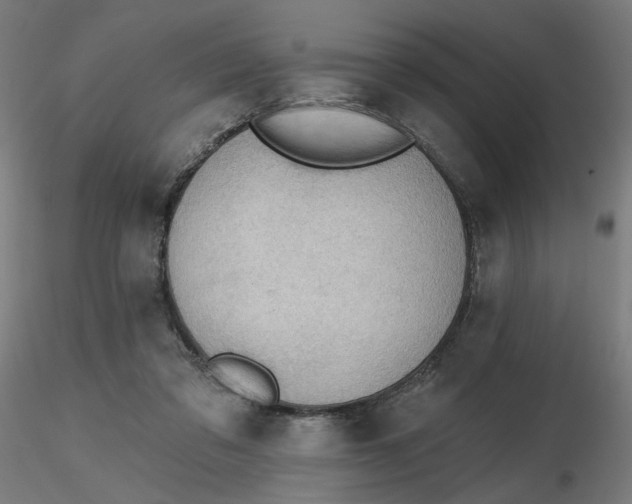 X0000116510309200912231239