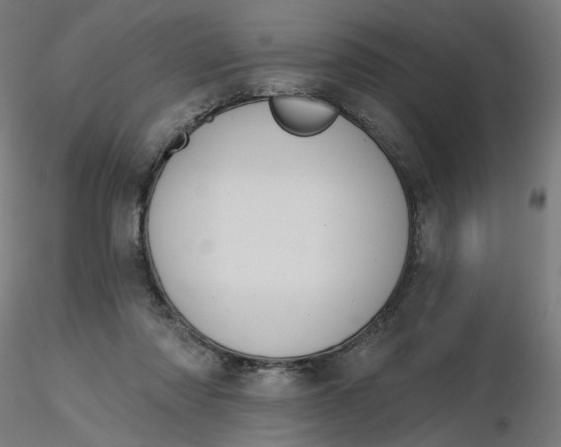 X0000116510310200912231239