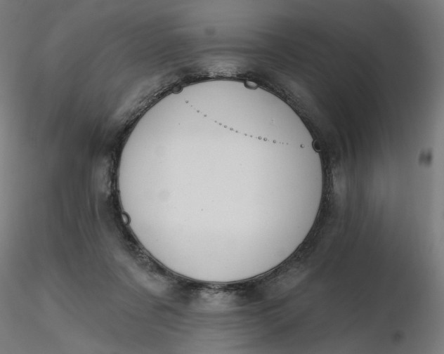 X0000116510311200912231239