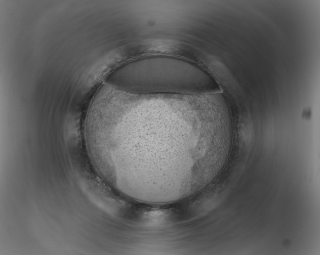 X0000116510312200912231239