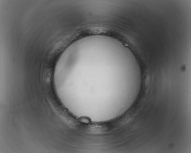 X0000116510315200912231239