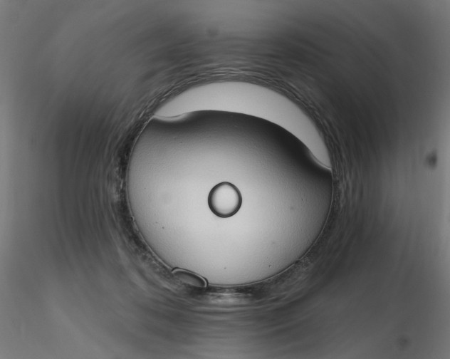 X0000116510316200912231239