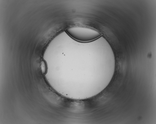 X0000116510317200912231239