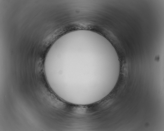 X0000116510318200912231239