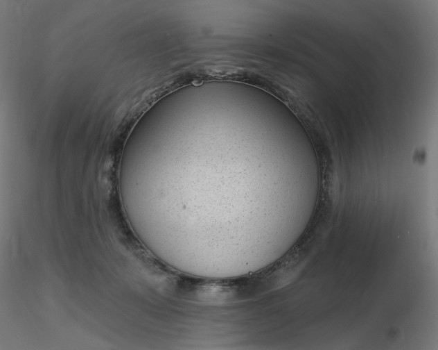 X0000116510319200912231239