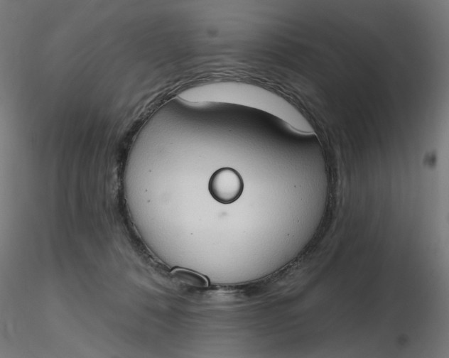 X0000116510320200912231239