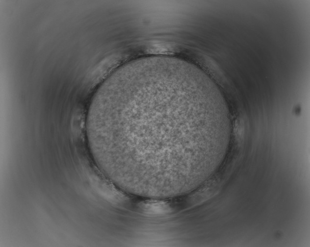 X0000116510322200912231239