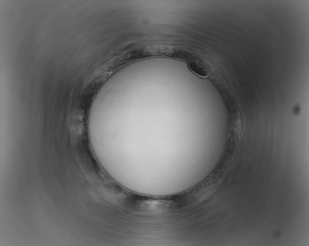 X0000116510323200912231239