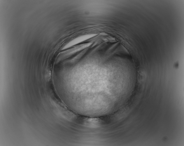 X0000116510324200912231239