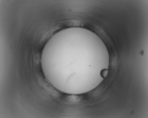 X0000116510326200912231239