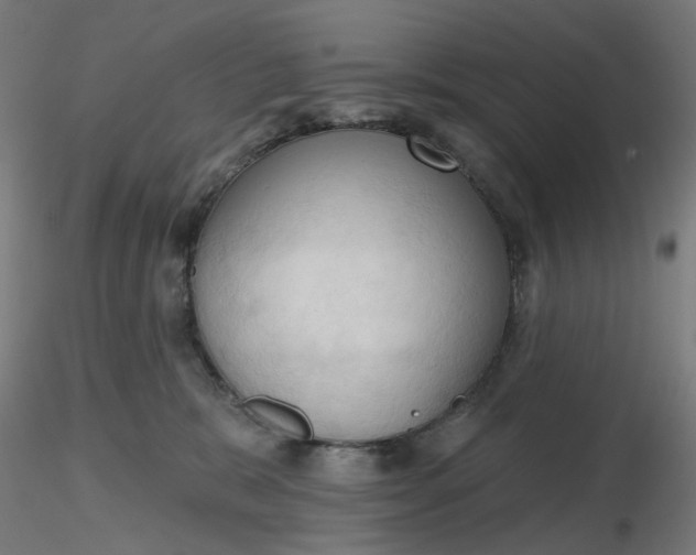 X0000116510327200912231239