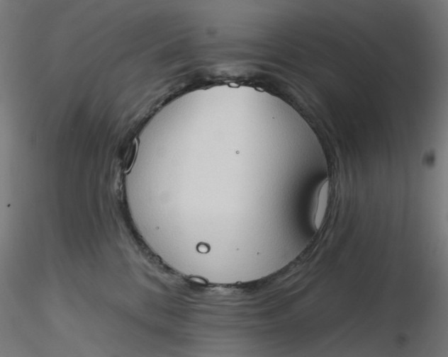 X0000116510328200912231239