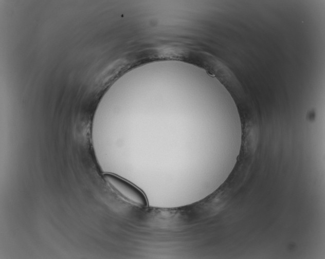 X0000116510329200912231238