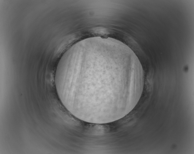 X0000116510330200912231238