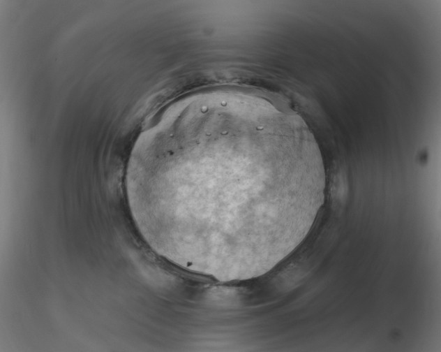 X0000116510332200912231238