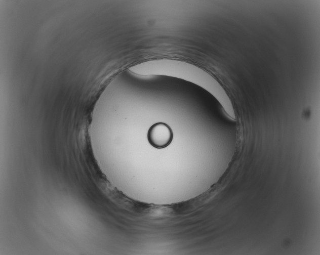 X0000116510333200912231238