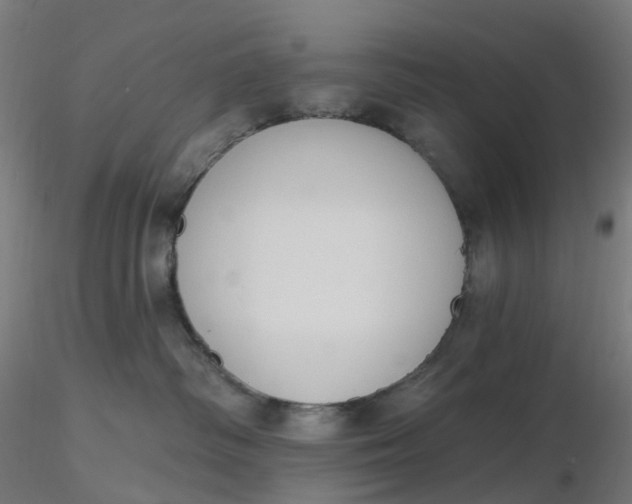 X0000116510334200912231238