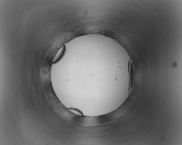 X0000116510335200912231238