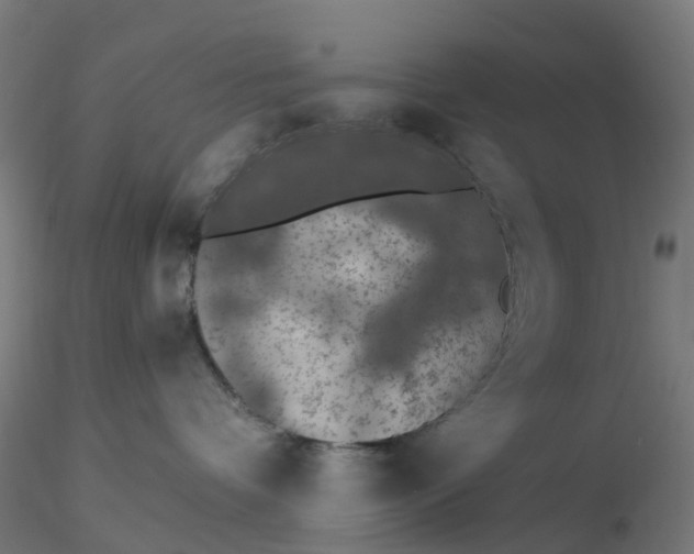 X0000116510336200912231238