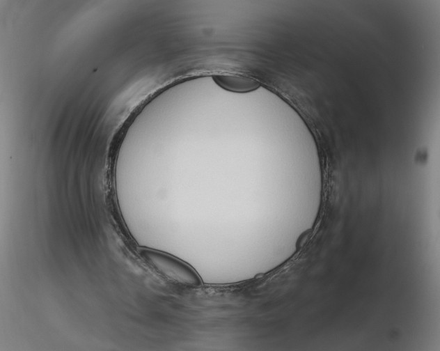 X0000116510338200912231238