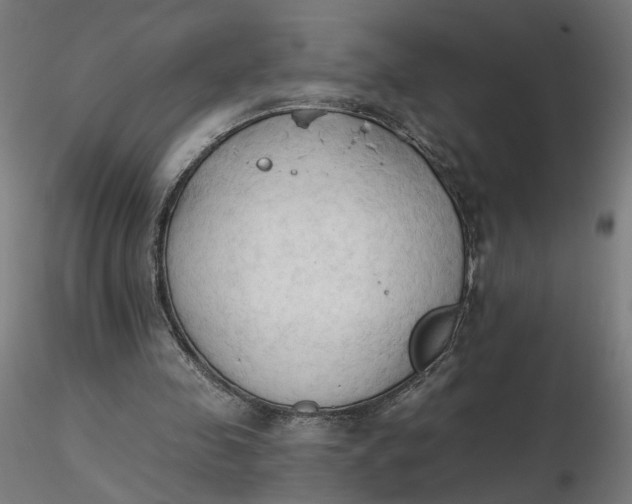 X0000116510341200912231238