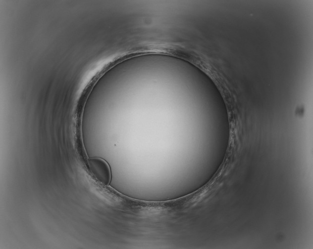 X0000116510342200912231238