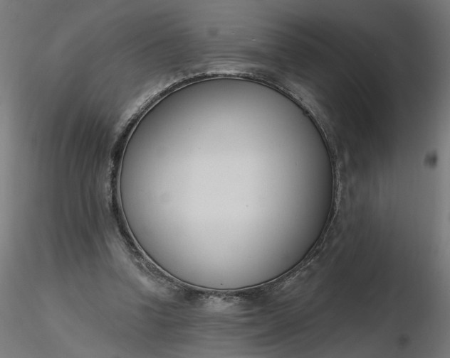 X0000116510346200912231238