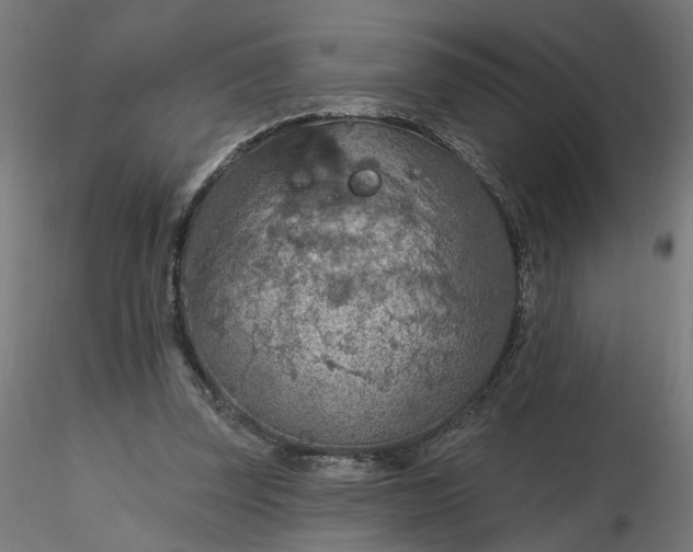 X0000116510347200912231238