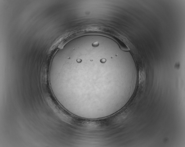 X0000116510349200912231238