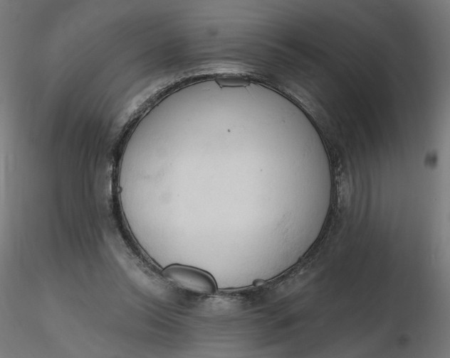 X0000116510350200912231238