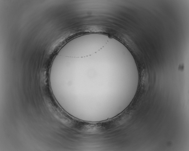 X0000116510351200912231238