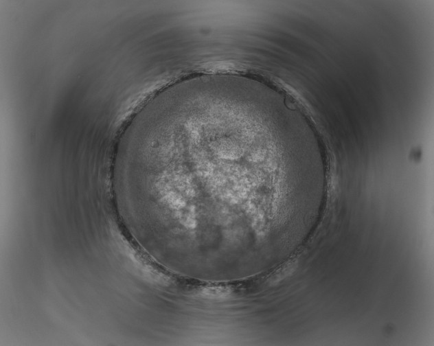 X0000116510353200912231238