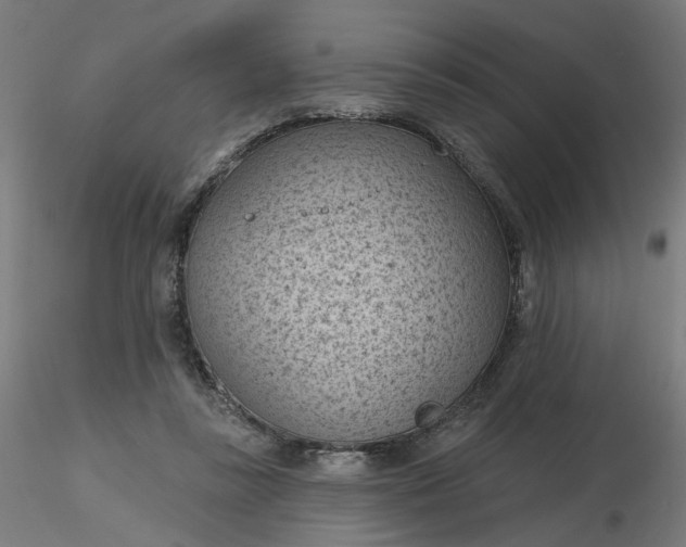 X0000116510355200912231238