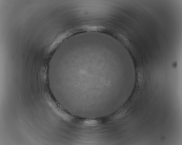 X0000116510357200912231238