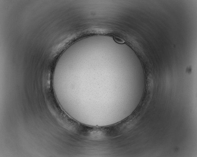 X0000116510358200912231238