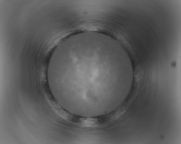 X0000116510359200912231238