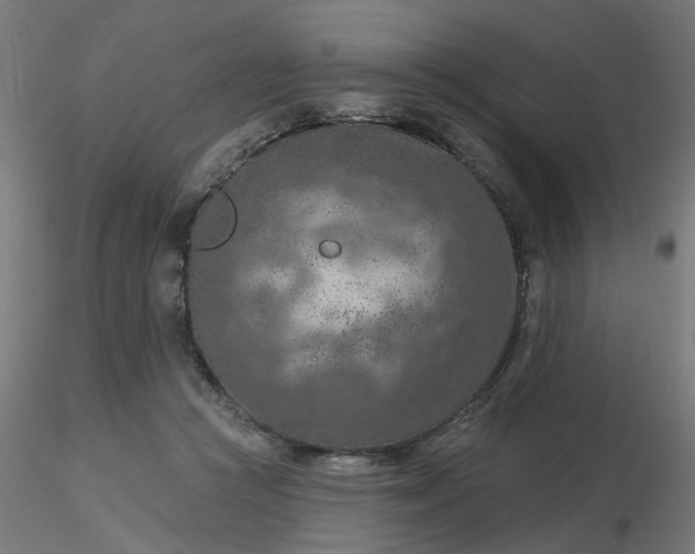 X0000116510361200912231238