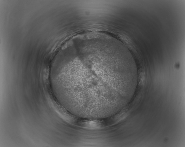 X0000116510365200912231238