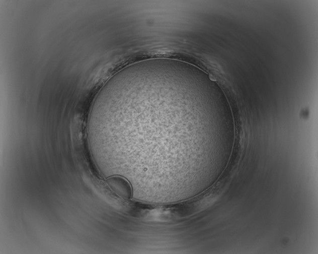 X0000116510366200912231238