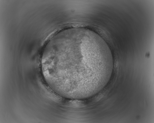 X0000116510367200912231238