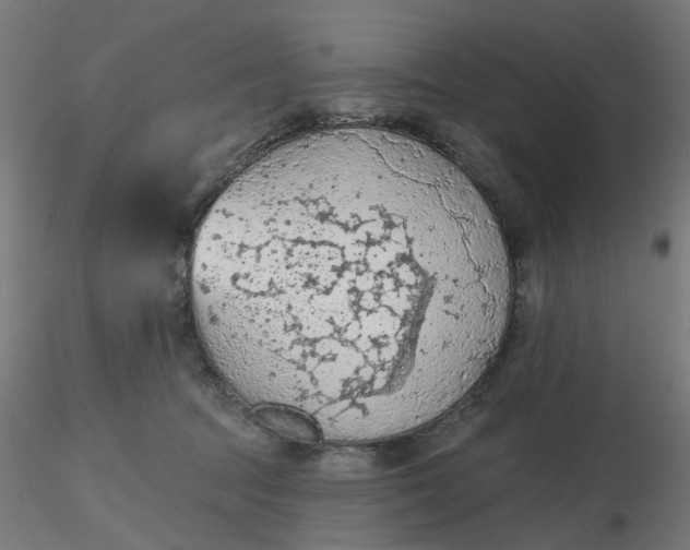 X0000116510369200912231238