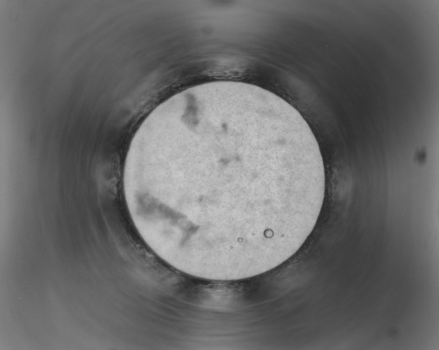 X0000116510370200912231238