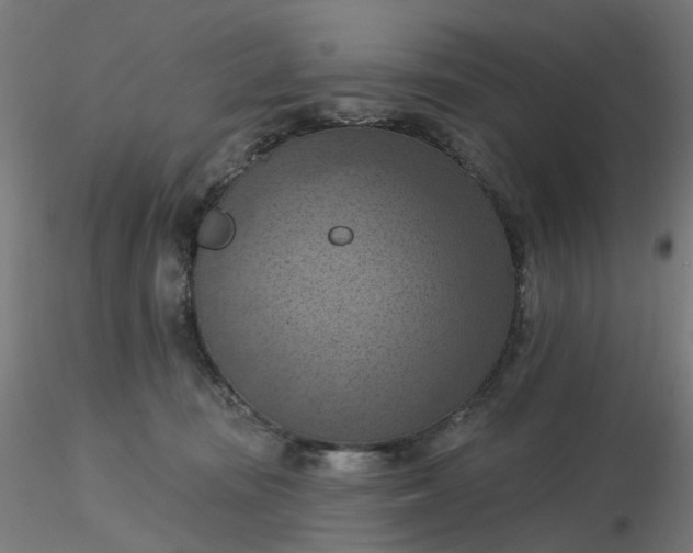 X0000116510371200912231238