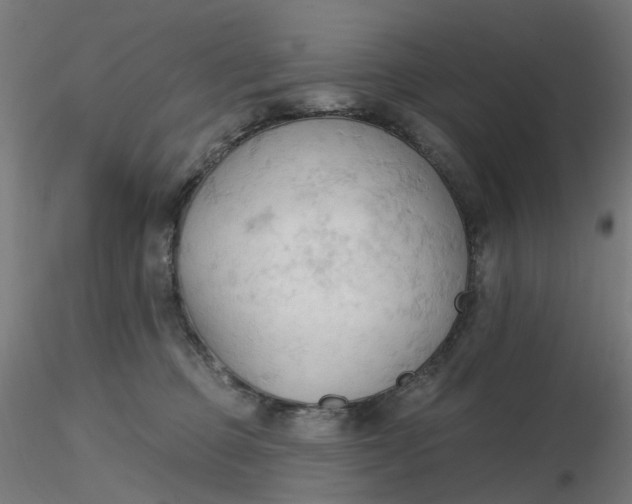 X0000116510373200912231238