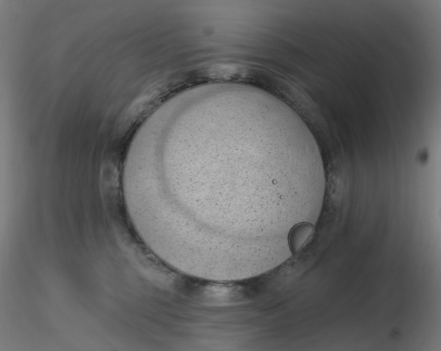 X0000116510375200912231238