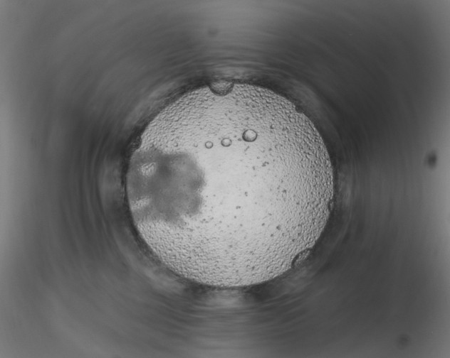 X0000116510377200912231238