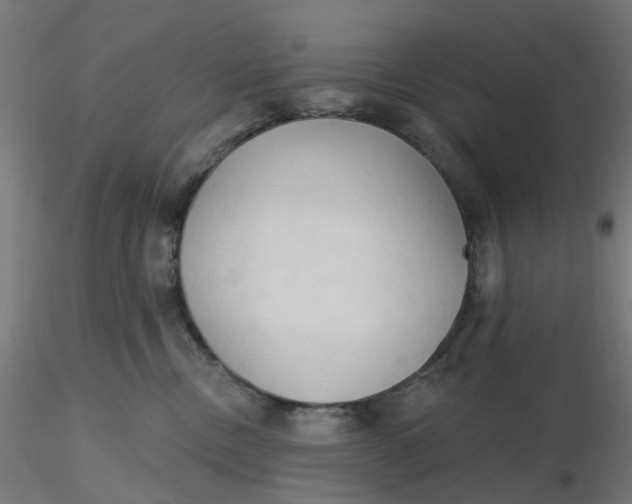 X0000116510378200912231238