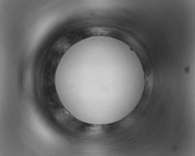 X0000116510381200912231238