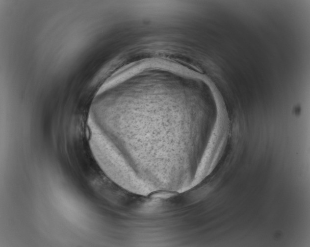 X0000116510382200912231238